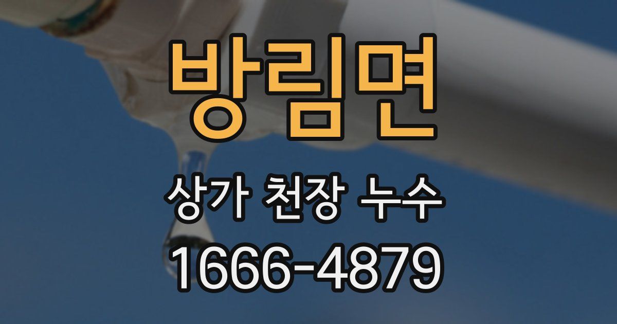 방림면 상가 천장 누수