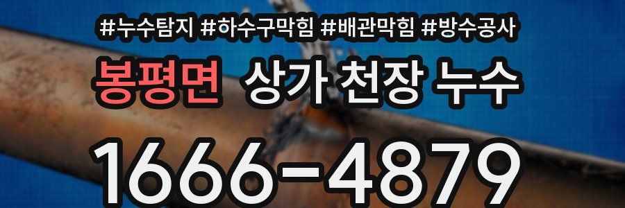 봉평면 상가 천장 누수