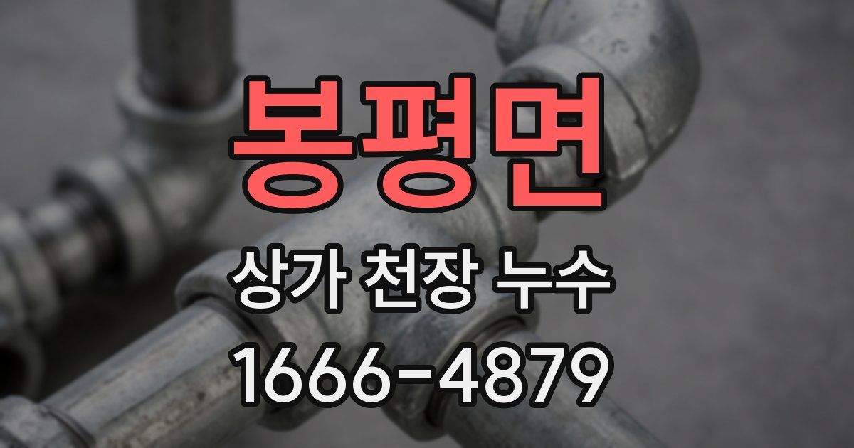 봉평면 상가 천장 누수