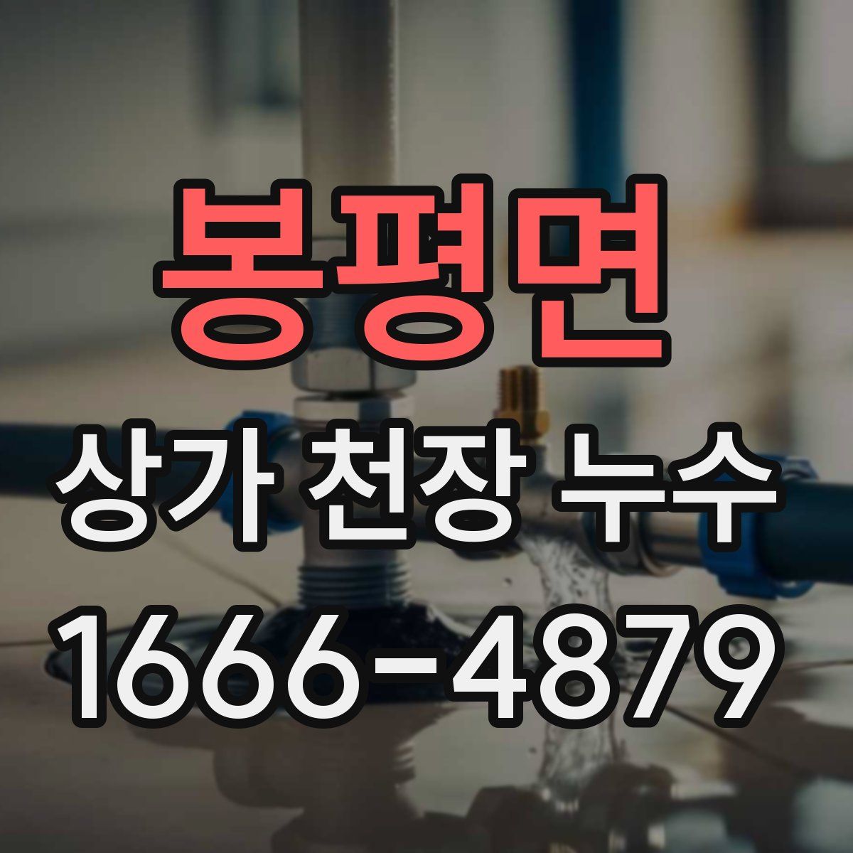 봉평면 상가 천장 누수