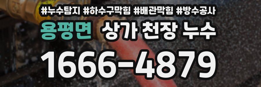 용평면 상가 천장 누수