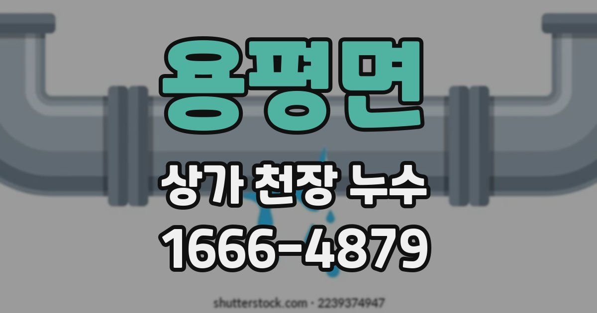 용평면 상가 천장 누수