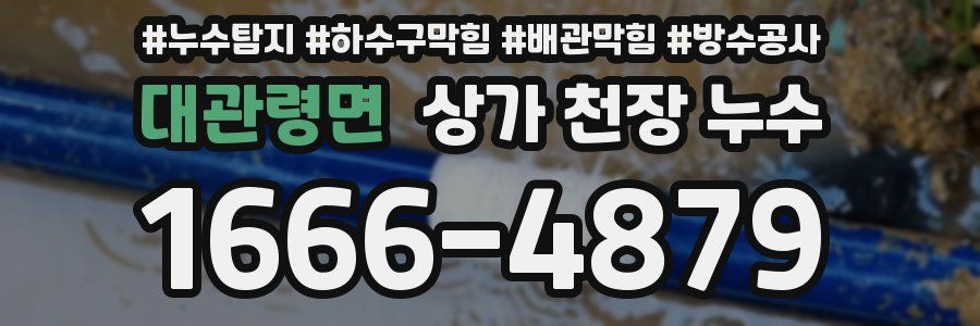 대관령면 상가 천장 누수