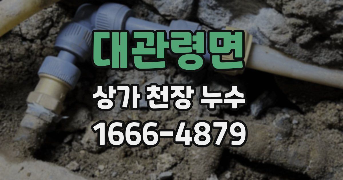 대관령면 상가 천장 누수