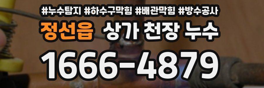 정선읍 상가 천장 누수