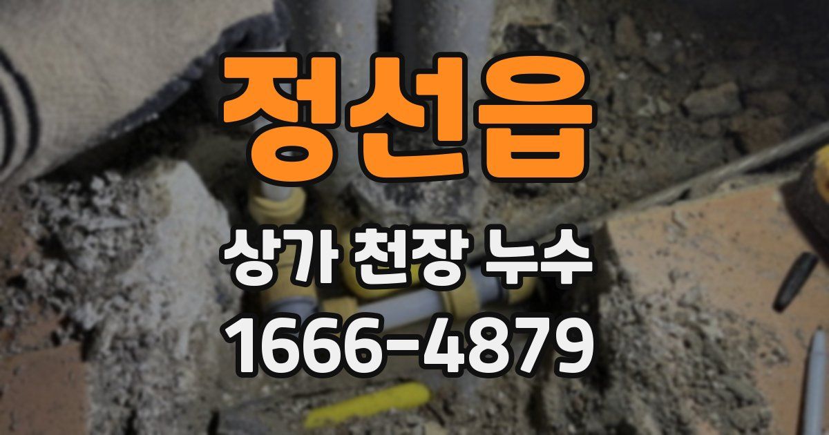 정선읍 상가 천장 누수