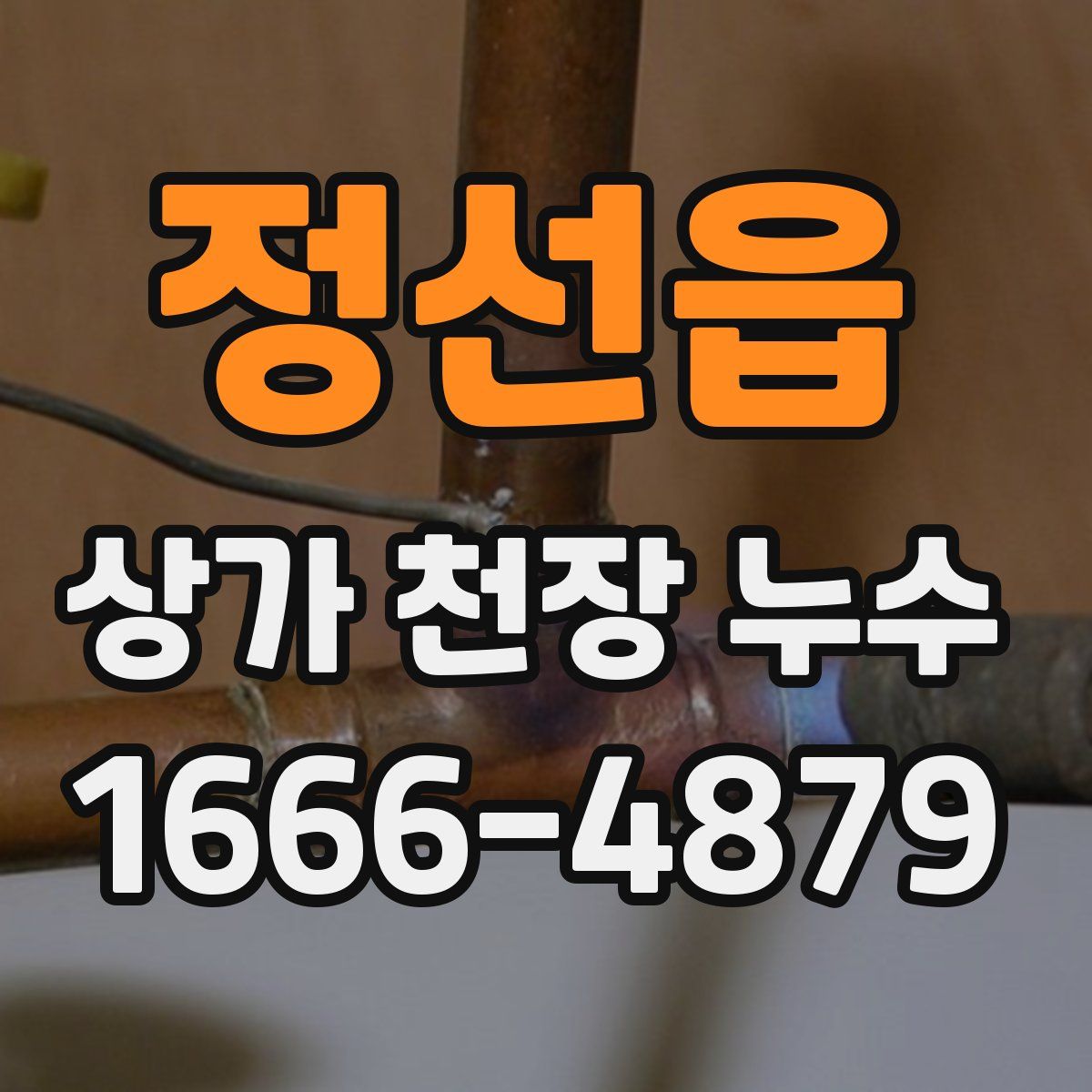 정선읍 상가 천장 누수