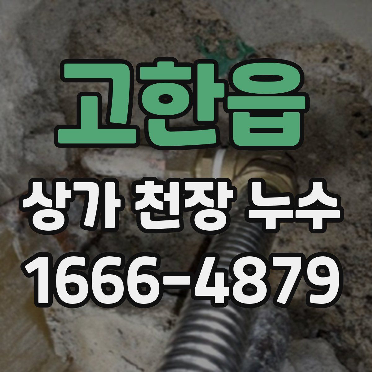 고한읍 상가 천장 누수