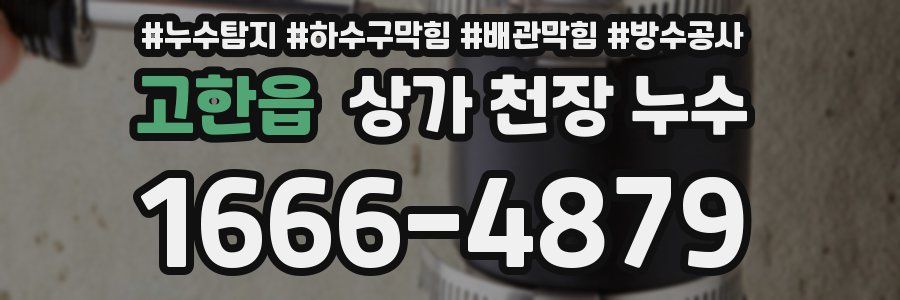 고한읍 상가 천장 누수