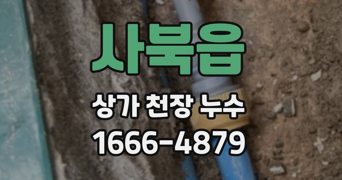 사북읍 상가 천장 누수