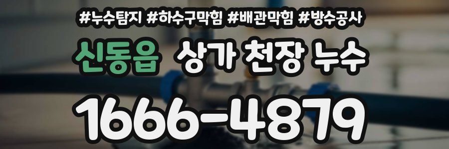 신동읍 상가 천장 누수