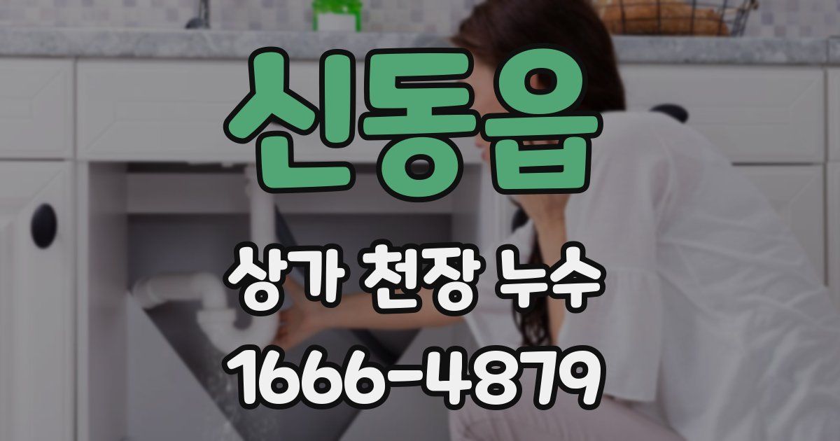신동읍 상가 천장 누수