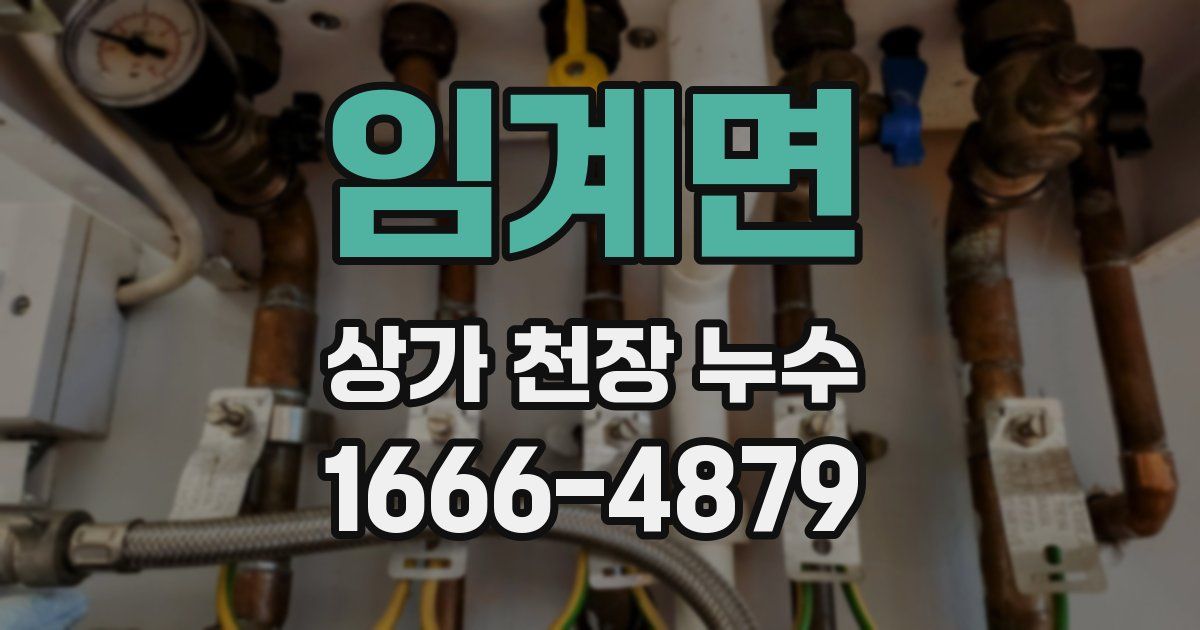 임계면 상가 천장 누수