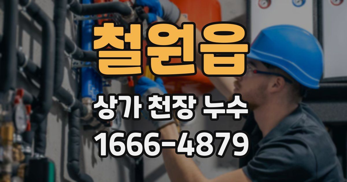 철원읍 상가 천장 누수