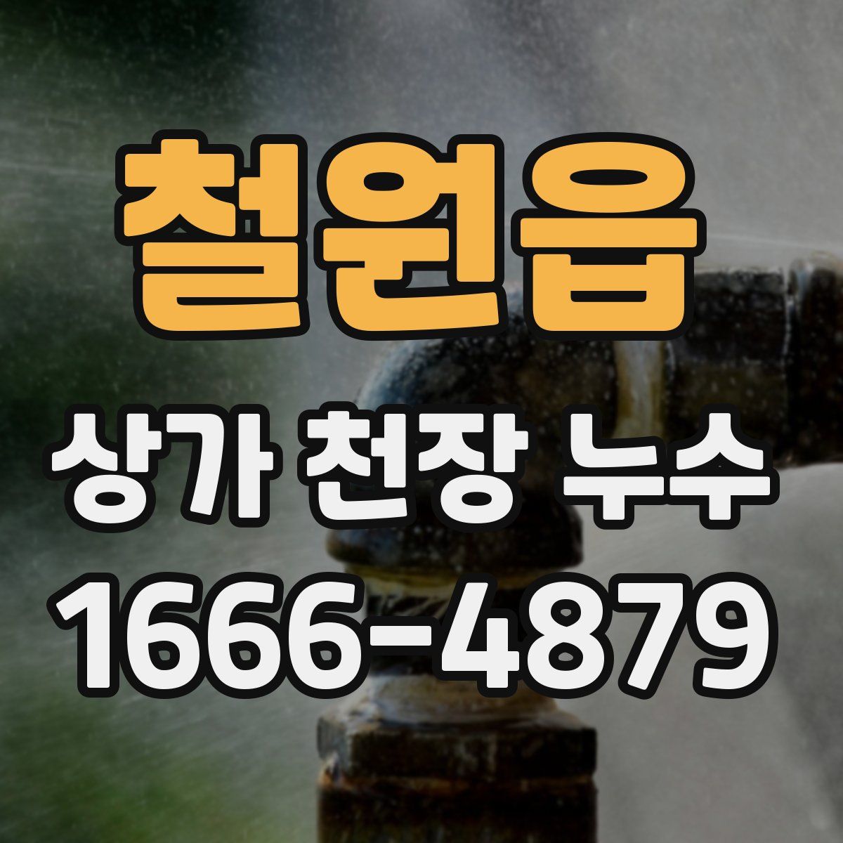 철원읍 상가 천장 누수