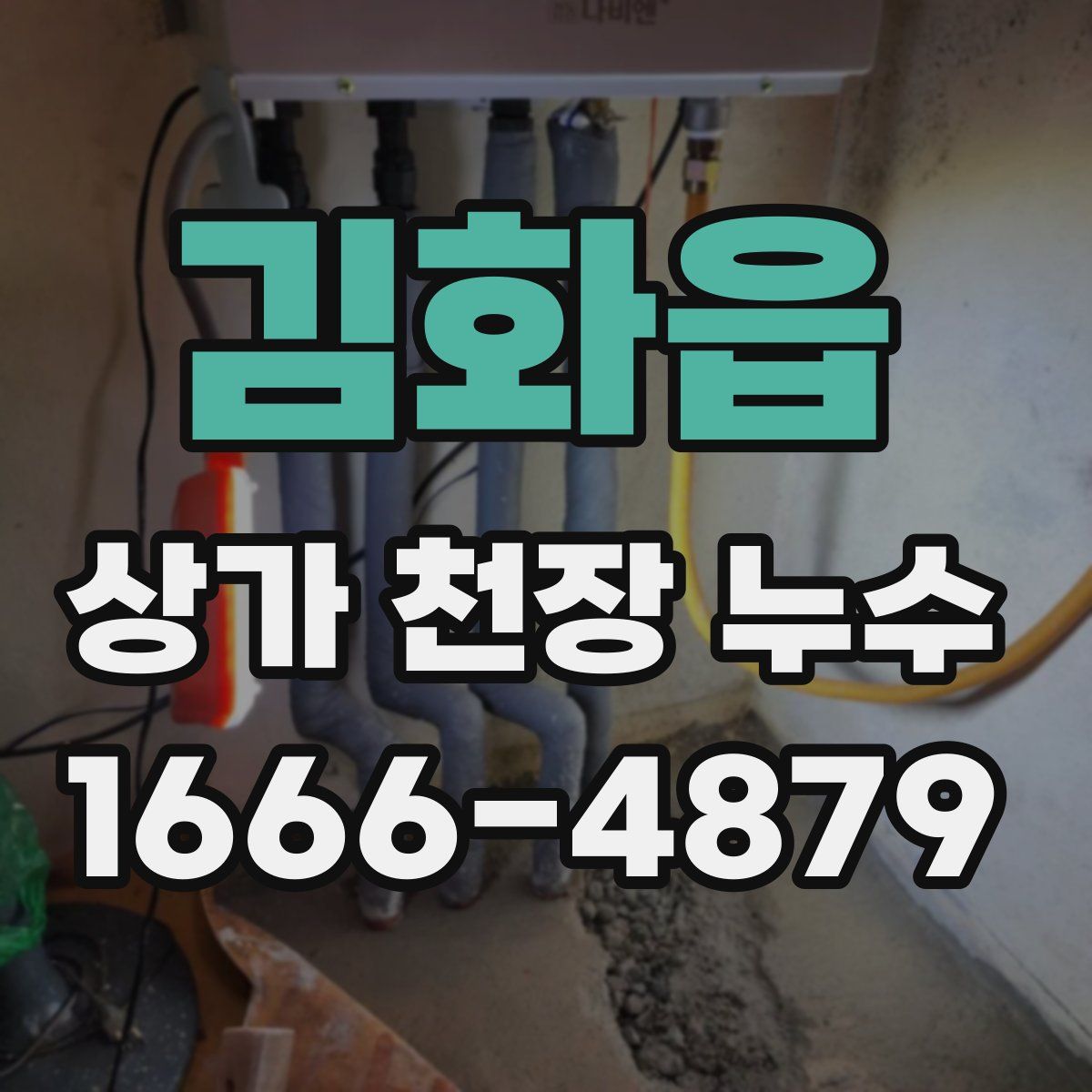 김화읍 상가 천장 누수
