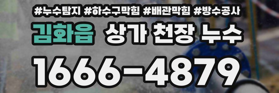 김화읍 상가 천장 누수
