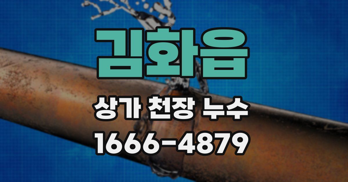 김화읍 상가 천장 누수