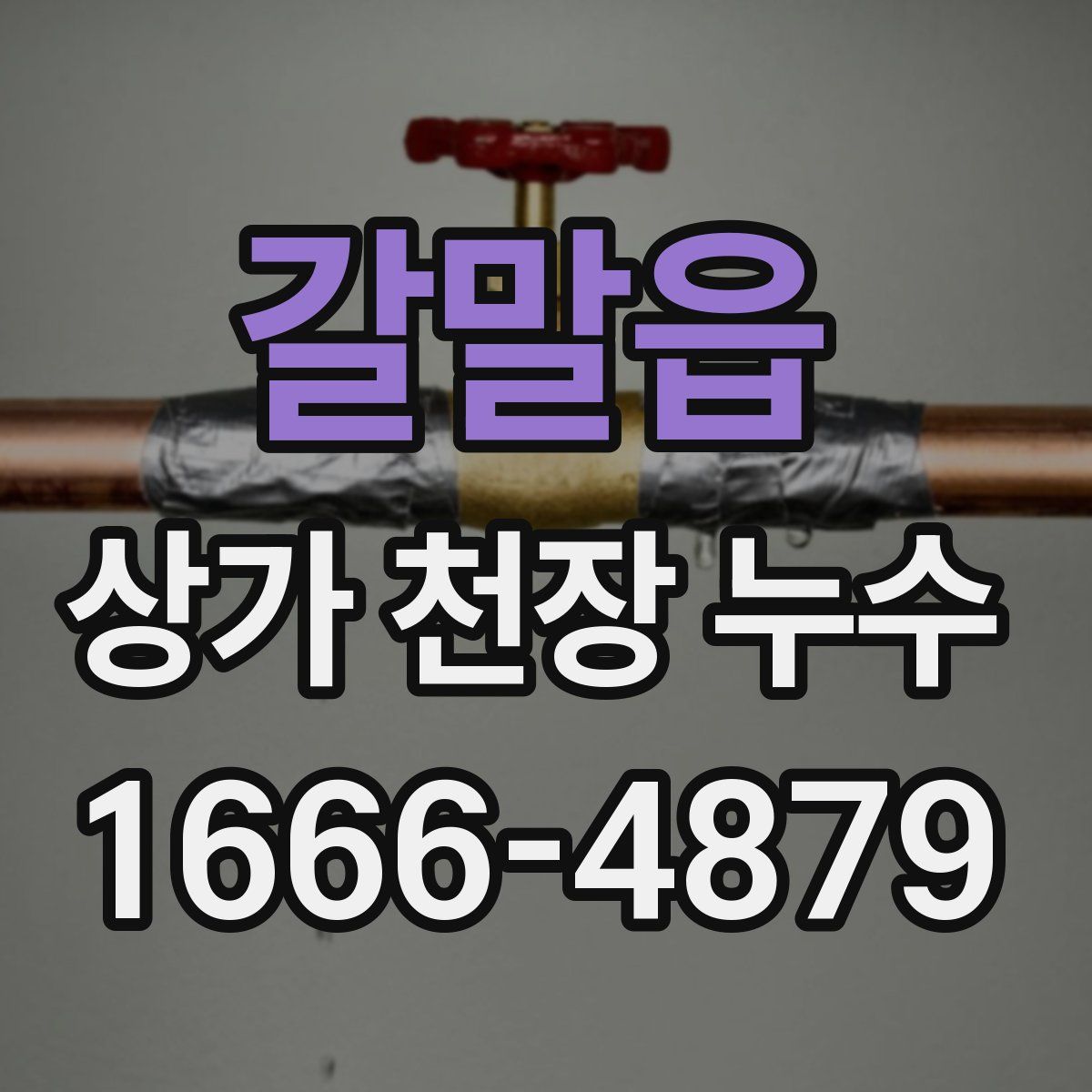 갈말읍 상가 천장 누수