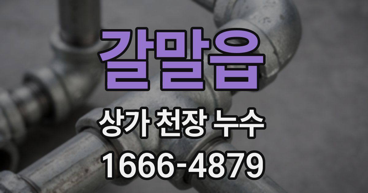 갈말읍 상가 천장 누수