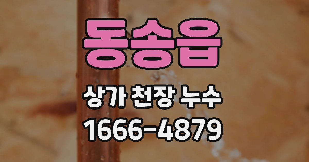 동송읍 상가 천장 누수