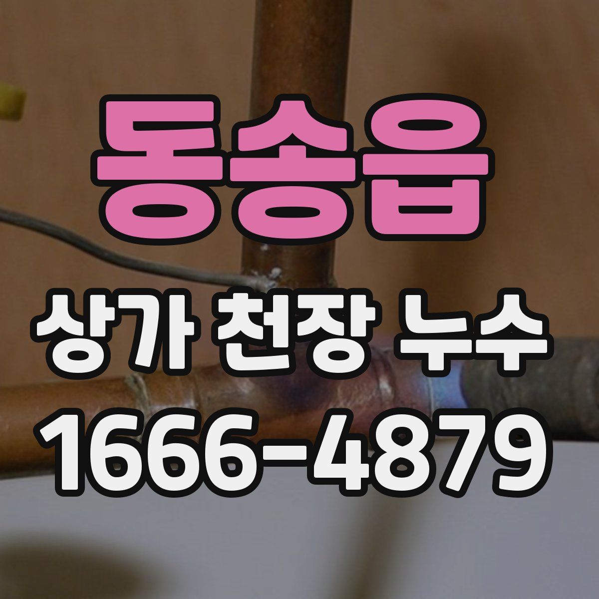 동송읍 상가 천장 누수
