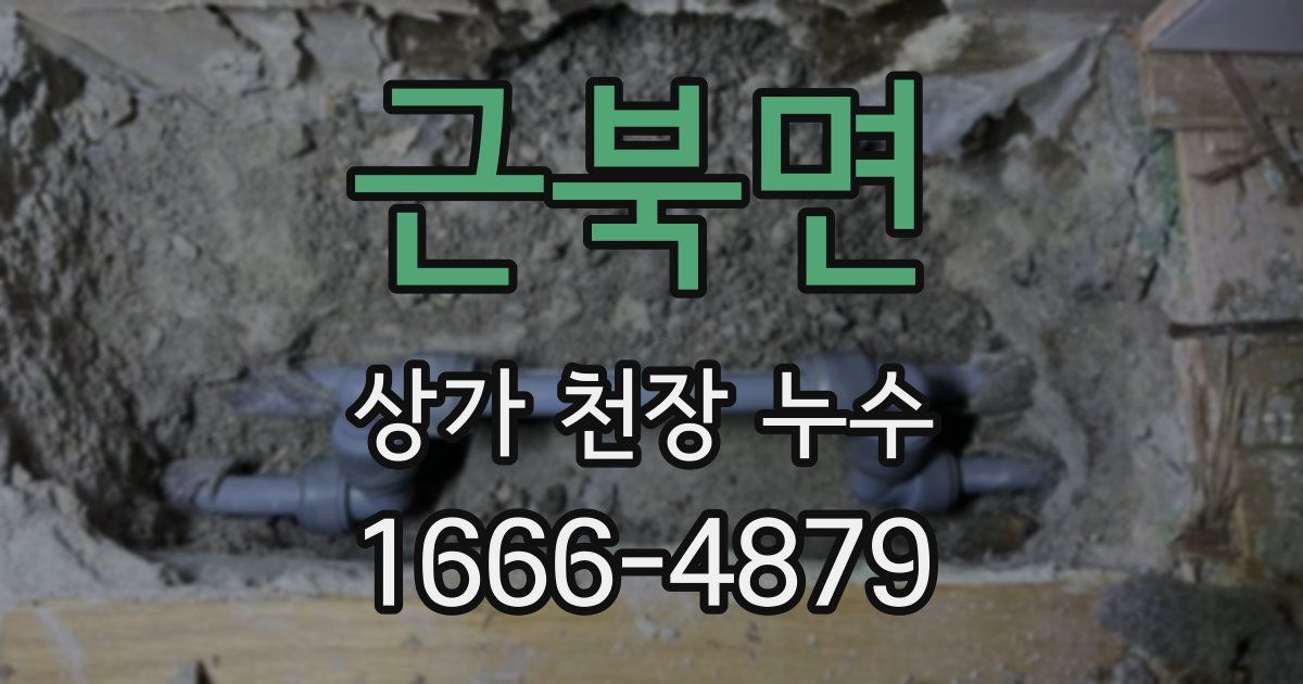근북면 상가 천장 누수