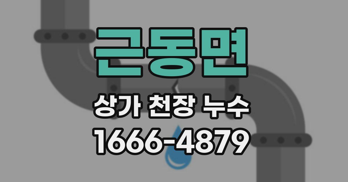 근동면 상가 천장 누수