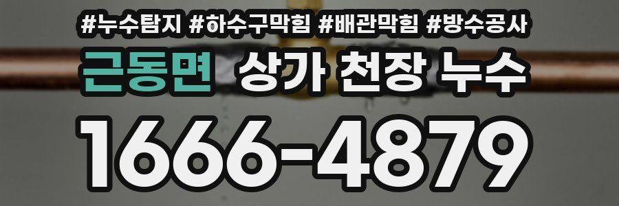 근동면 상가 천장 누수