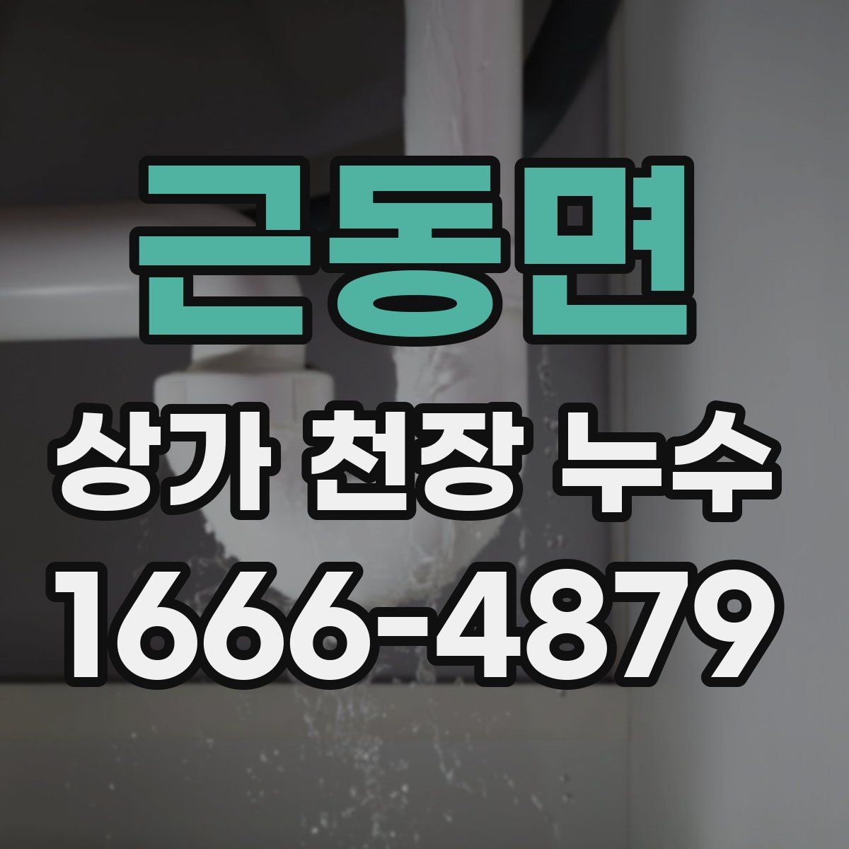 근동면 상가 천장 누수