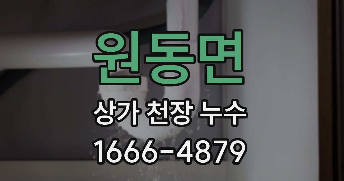원동면 상가 천장 누수