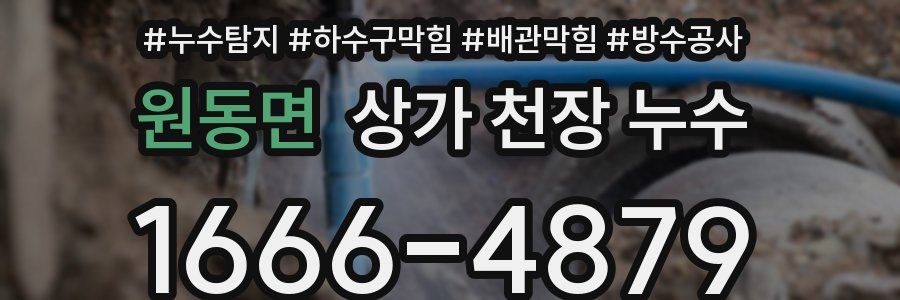 원동면 상가 천장 누수