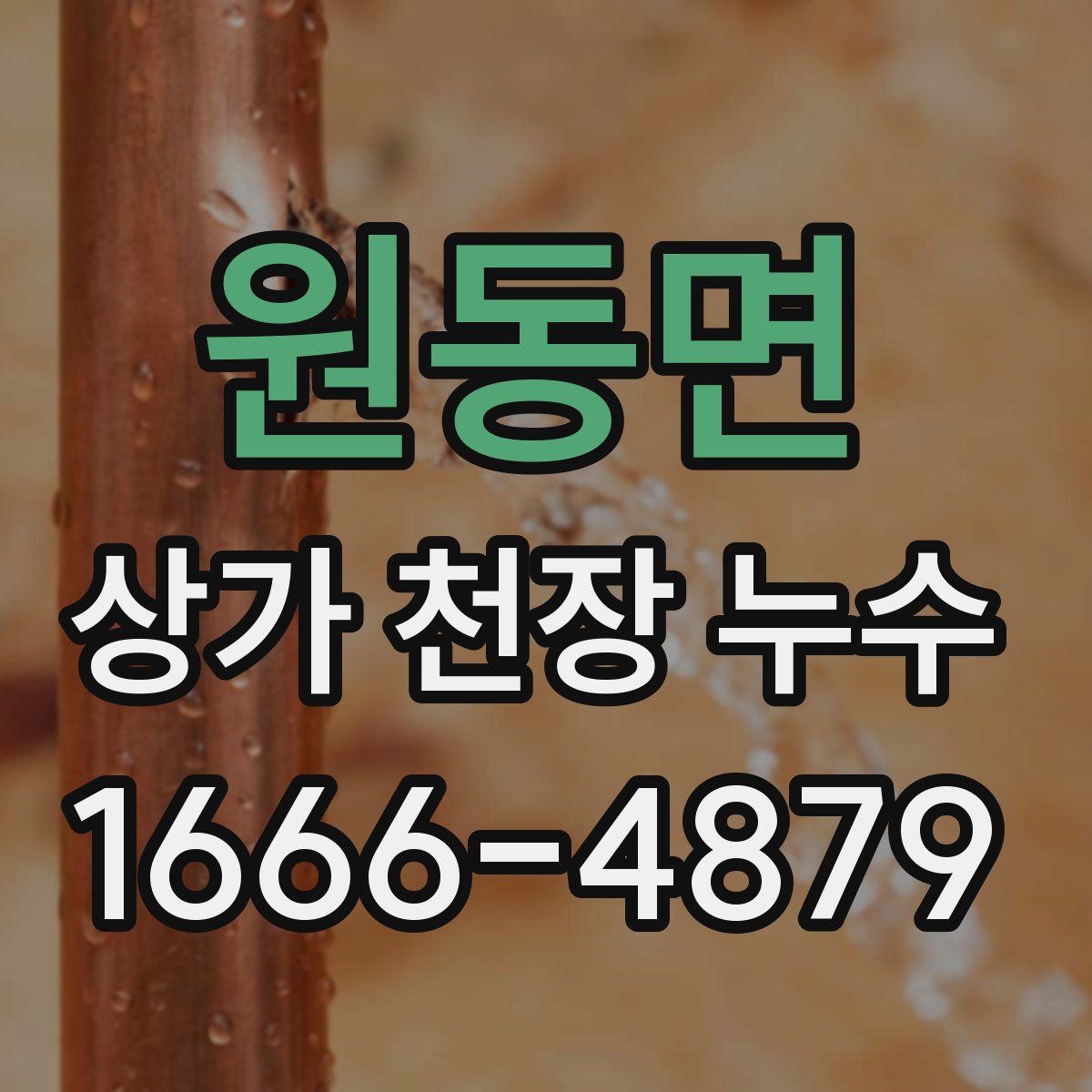 원동면 상가 천장 누수