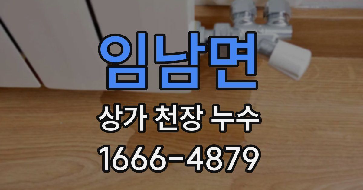 임남면 상가 천장 누수
