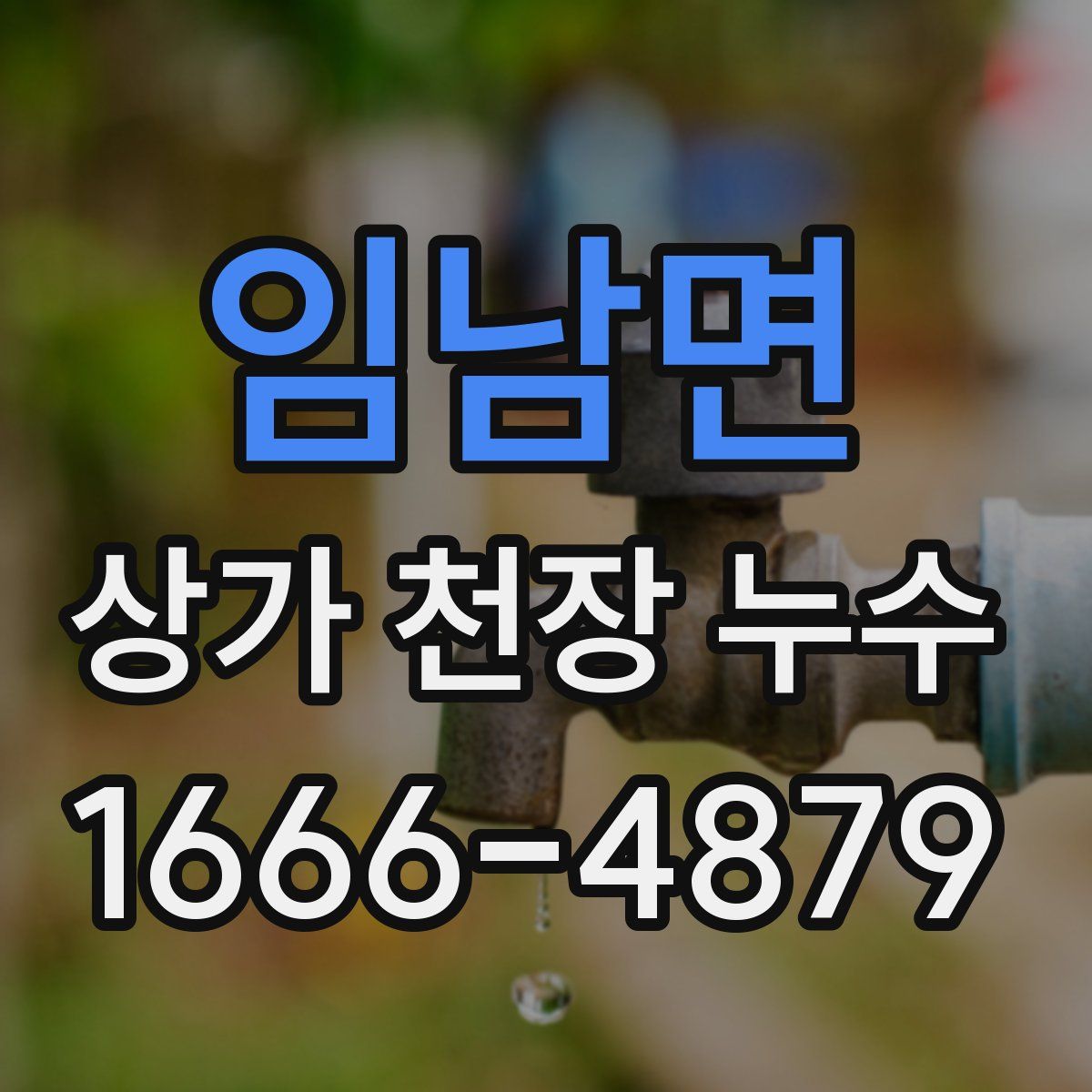 임남면 상가 천장 누수
