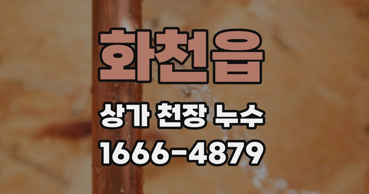 화천읍 상가 천장 누수