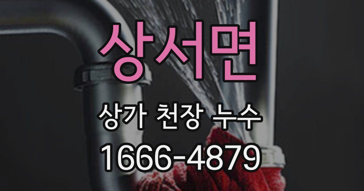 상서면 상가 천장 누수