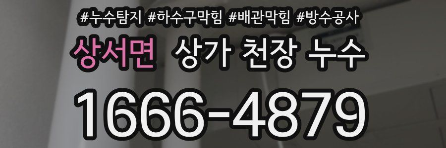 상서면 상가 천장 누수