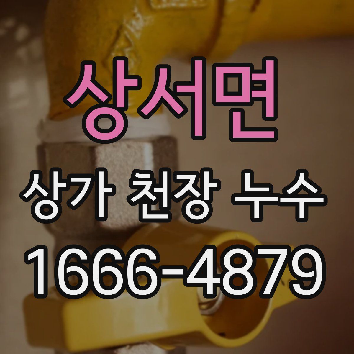상서면 상가 천장 누수