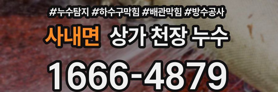 사내면 상가 천장 누수