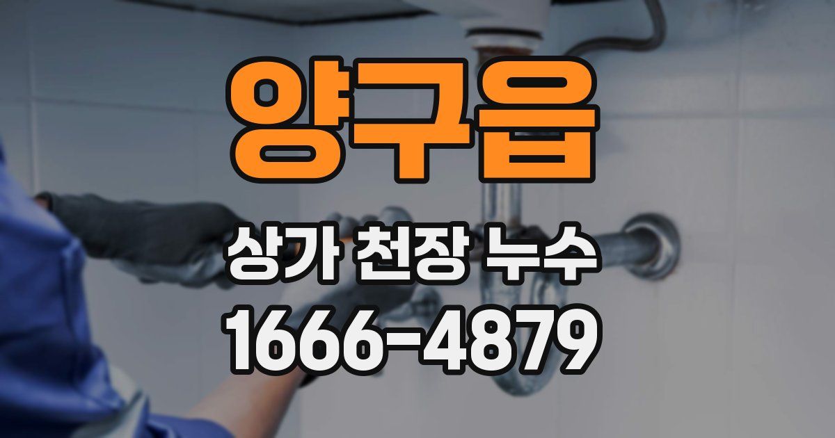 양구읍 상가 천장 누수