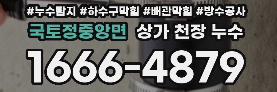 국토정중앙면 상가 천장 누수