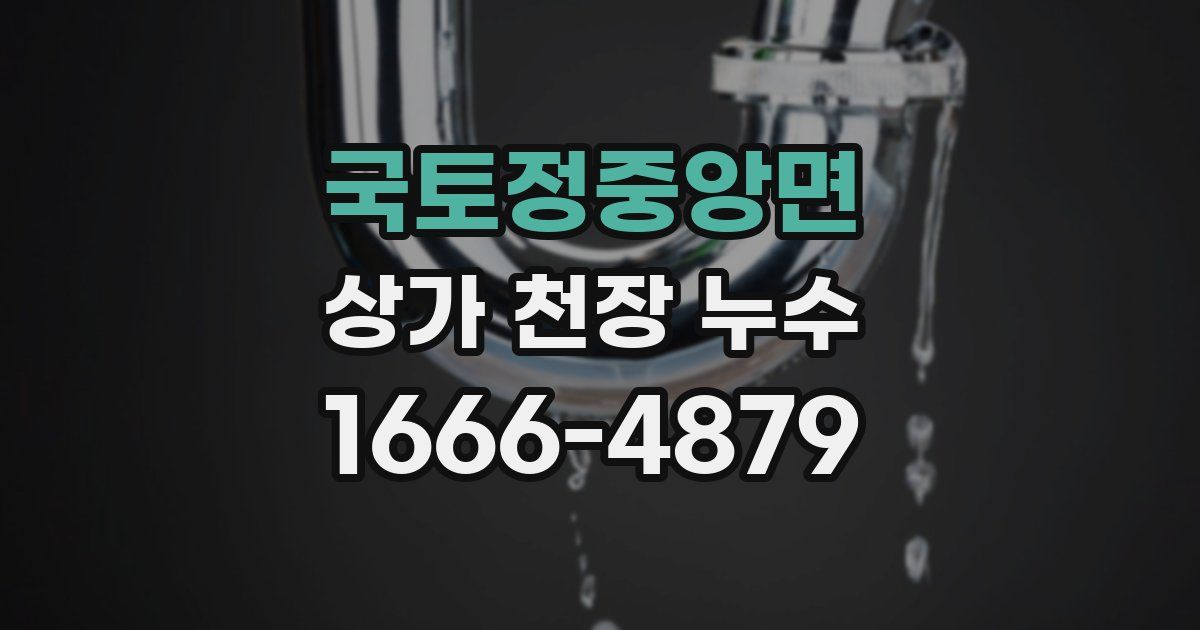 국토정중앙면 상가 천장 누수