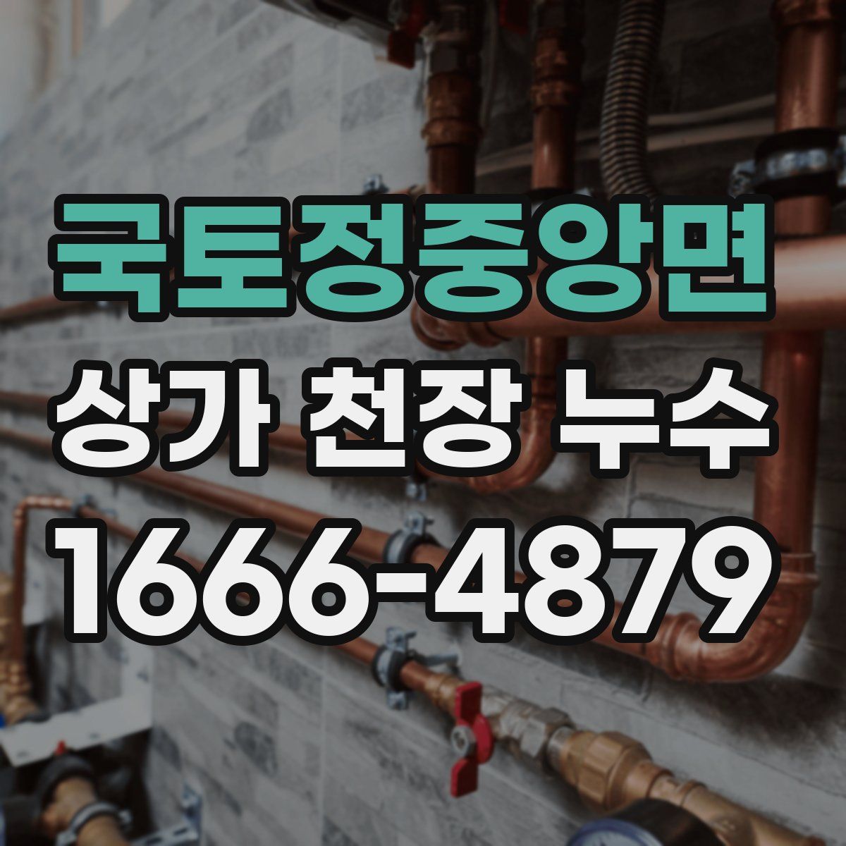 국토정중앙면 상가 천장 누수
