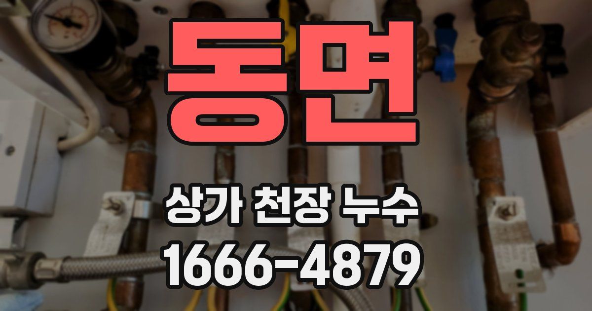 동면 상가 천장 누수