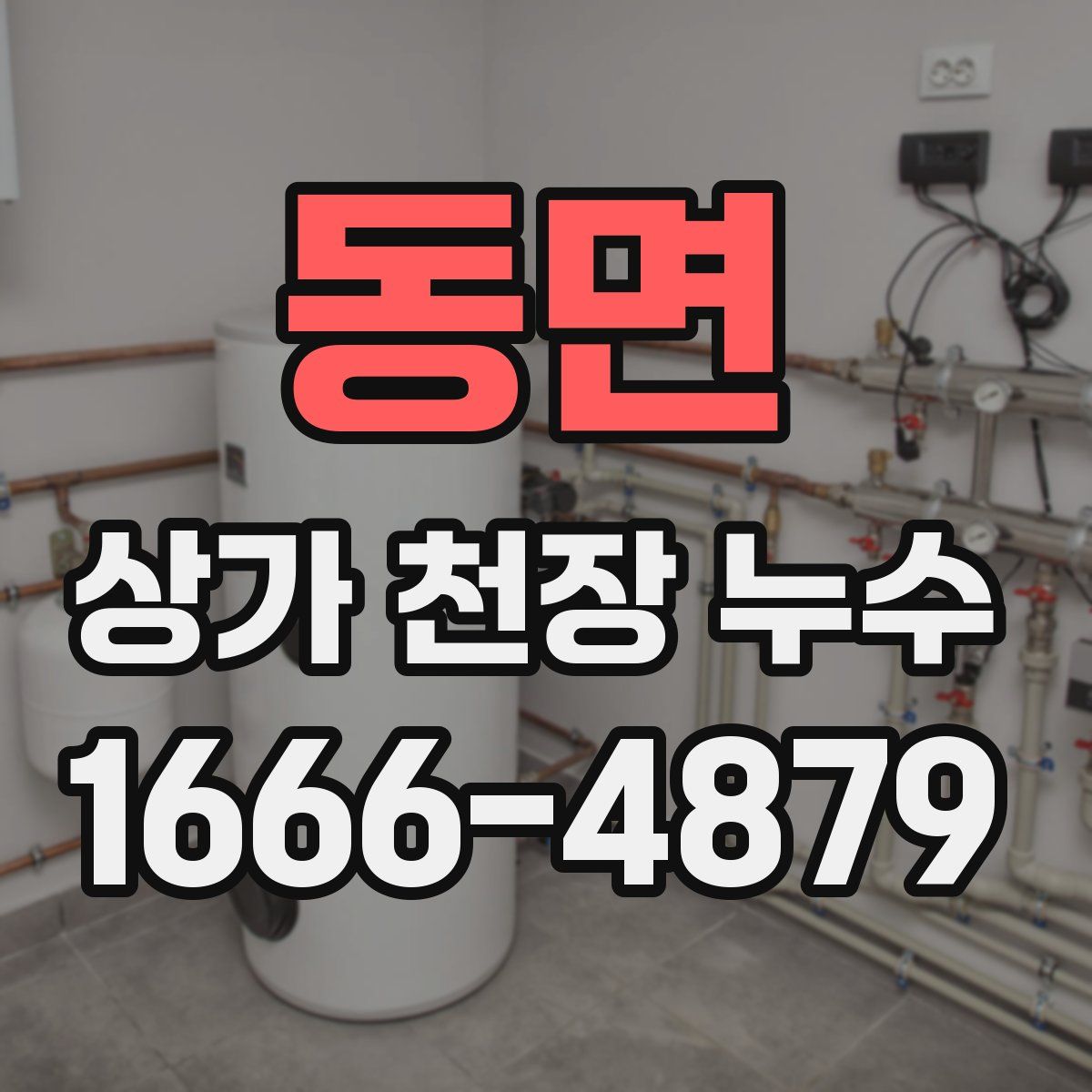 동면 상가 천장 누수