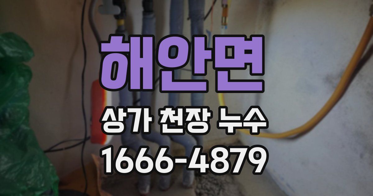 해안면 상가 천장 누수