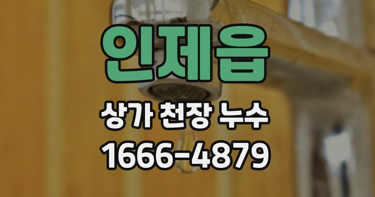 인제읍 상가 천장 누수