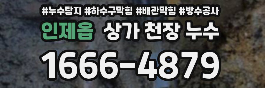인제읍 상가 천장 누수