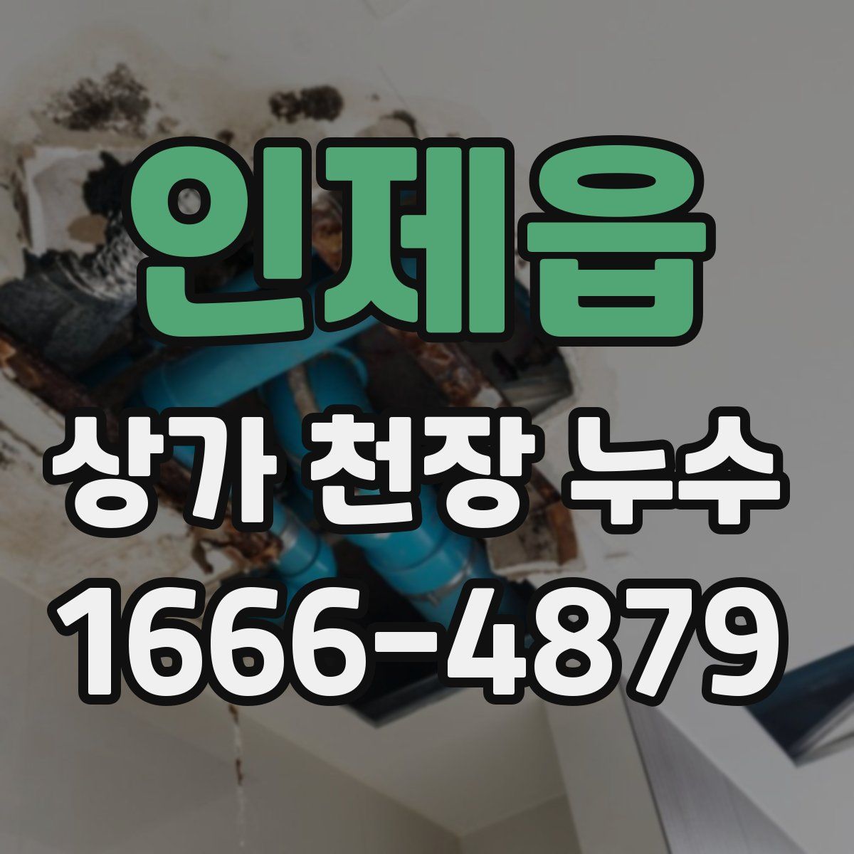 인제읍 상가 천장 누수
